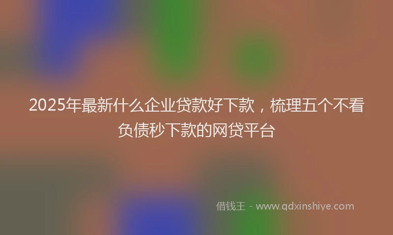 2025年最新什么企业贷款好下款，梳理五个不看负债秒下款的网贷平台