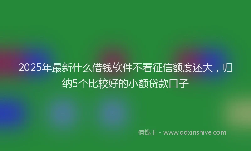 2025年最新什么借钱软件不看征信额度还大，归纳5个比较好的小额贷款口子