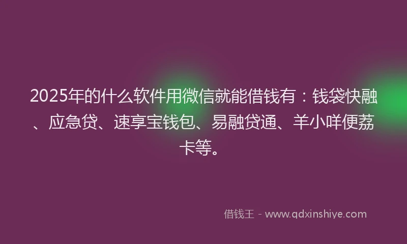 2025年的什么软件用微信就能借钱有：钱袋快融、应急贷、速享宝钱包、易融贷通、羊小咩便荔卡等。