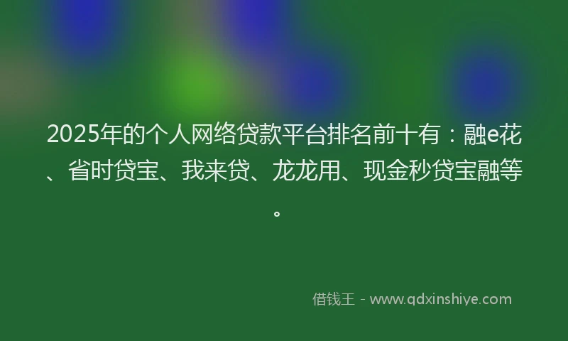 2025年的个人网络贷款平台排名前十有：融e花、省时贷宝、我来贷、龙龙用、现金秒贷宝融等。