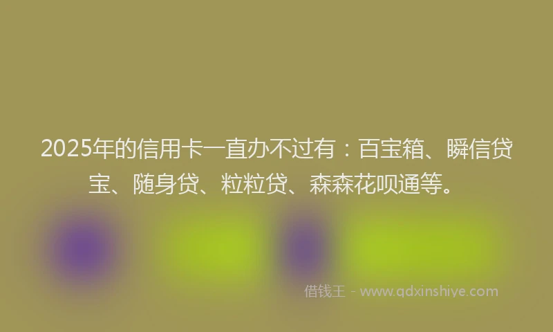 2025年的信用卡一直办不过有：百宝箱、瞬信贷宝、随身贷、粒粒贷、森森花呗通等。