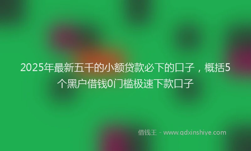 2025年最新五千的小额贷款必下的口子，概括5个黑户借钱0门槛极速下款口子