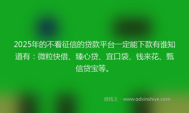 2025年的不看征信的贷款平台一定能下款有谁知道有：微粒快借、臻心贷、宜口袋、钱来花、甄信贷宝等。