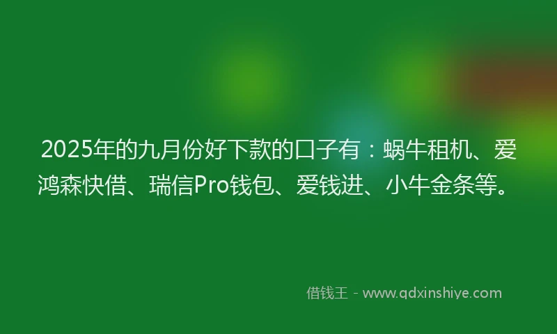 2025年的九月份好下款的口子有：蜗牛租机、爱鸿森快借、瑞信Pro钱包、爱钱进、小牛金条等。