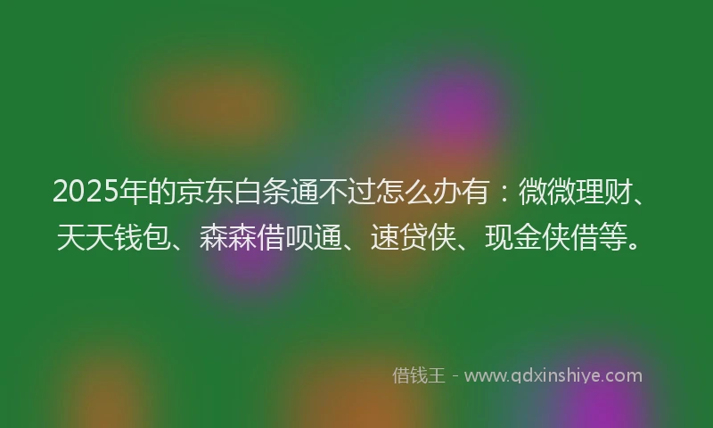 2025年的京东白条通不过怎么办有：微微理财、天天钱包、森森借呗通、速贷侠、现金侠借等。