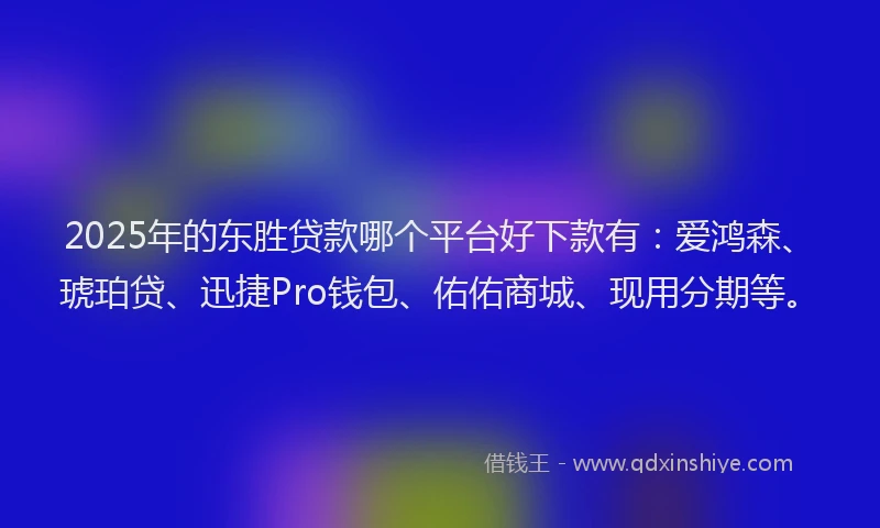 2025年的东胜贷款哪个平台好下款有：爱鸿森、琥珀贷、迅捷Pro钱包、佑佑商城、现用分期等。