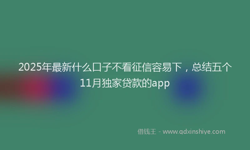 2025年最新什么口子不看征信容易下，总结五个11月独家贷款的app