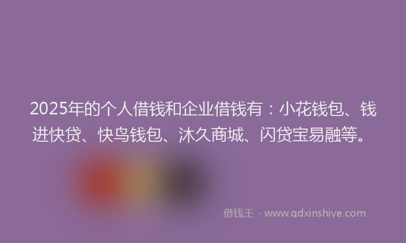 2025年的个人借钱和企业借钱有：小花钱包、钱进快贷、快鸟钱包、沐久商城、闪贷宝易融等。