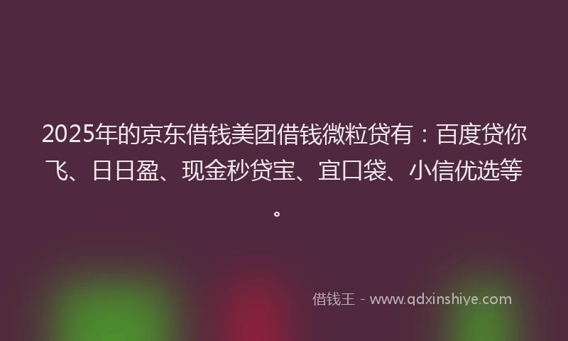 2025年的京东借钱美团借钱微粒贷有：百度贷你飞、日日盈、现金秒贷宝、宜口袋、小信优选等。
