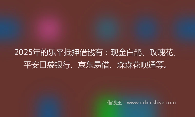 2025年的乐平抵押借钱有：现金白鸽、玫瑰花、平安口袋银行、京东易借、森森花呗通等。