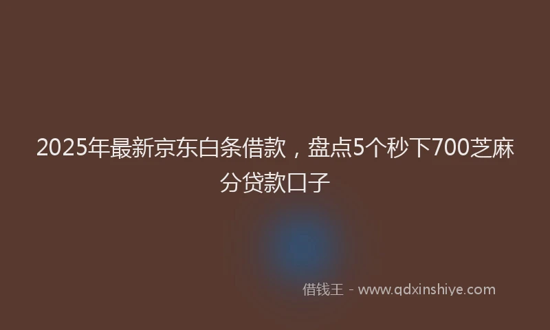2025年最新京东白条借款，盘点5个秒下700芝麻分贷款口子