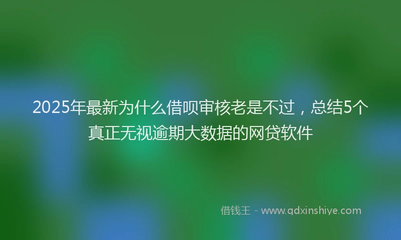 2025年最新为什么借呗审核老是不过，总结5个真正无视逾期大数据的网贷软件