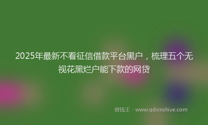 2025年最新不看征信借款平台黑户，梳理五个无视花黑烂户能下款的网贷