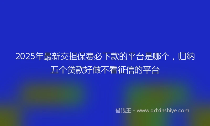 2025年最新交担保费必下款的平台是哪个，归纳五个贷款好做不看征信的平台