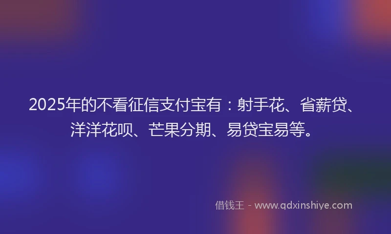 2025年的不看征信支付宝有：射手花、省薪贷、洋洋花呗、芒果分期、易贷宝易等。