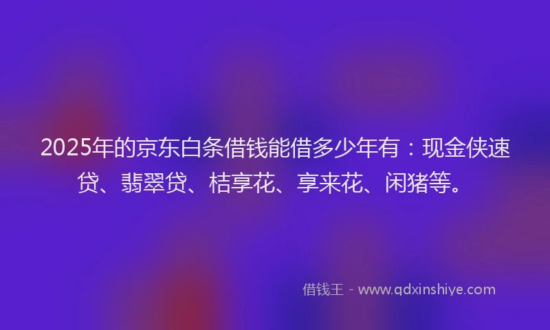 2025年的京东白条借钱能借多少年有：现金侠速贷、翡翠贷、桔享花、享来花、闲猪等。