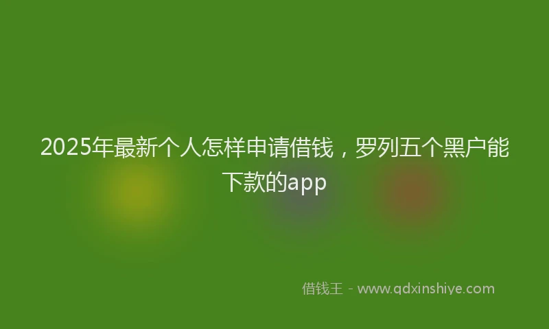2025年最新个人怎样申请借钱，罗列五个黑户能下款的app