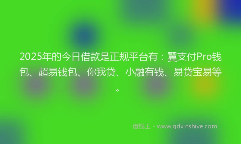 2025年的今日借款是正规平台有：翼支付Pro钱包、超易钱包、你我贷、小融有钱、易贷宝易等。