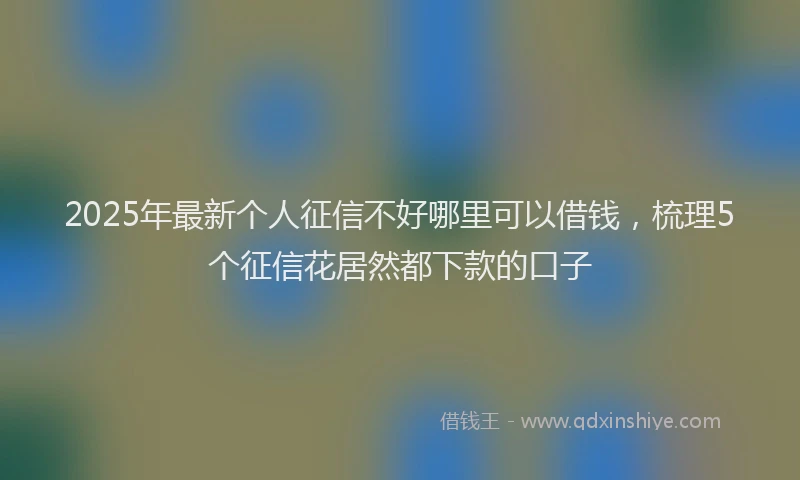 2025年最新个人征信不好哪里可以借钱，梳理5个征信花居然都下款的口子