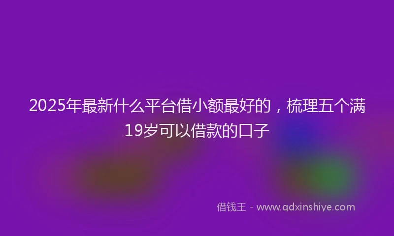 2025年最新什么平台借小额最好的，梳理五个满19岁可以借款的口子