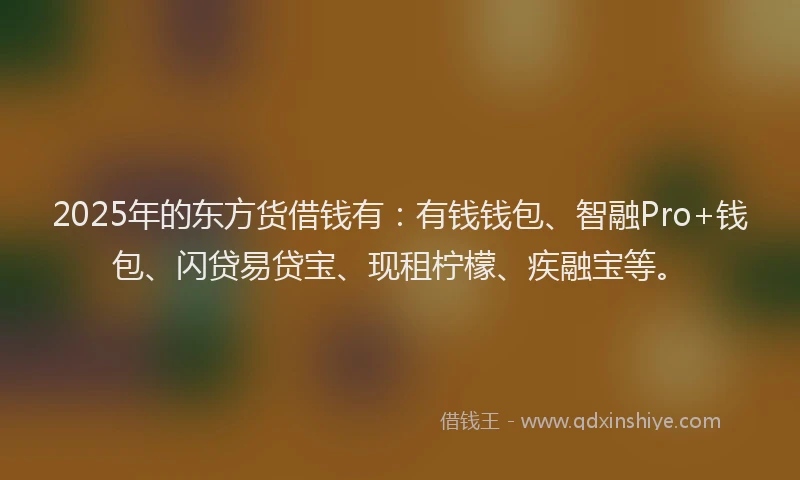 2025年的东方货借钱有：有钱钱包、智融Pro+钱包、闪贷易贷宝、现租柠檬、疾融宝等。