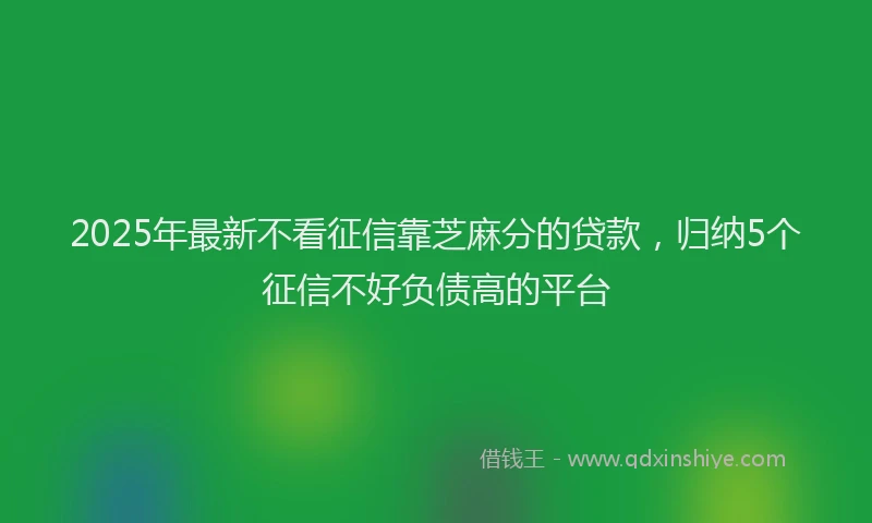 2025年最新不看征信靠芝麻分的贷款，归纳5个征信不好负债高的平台