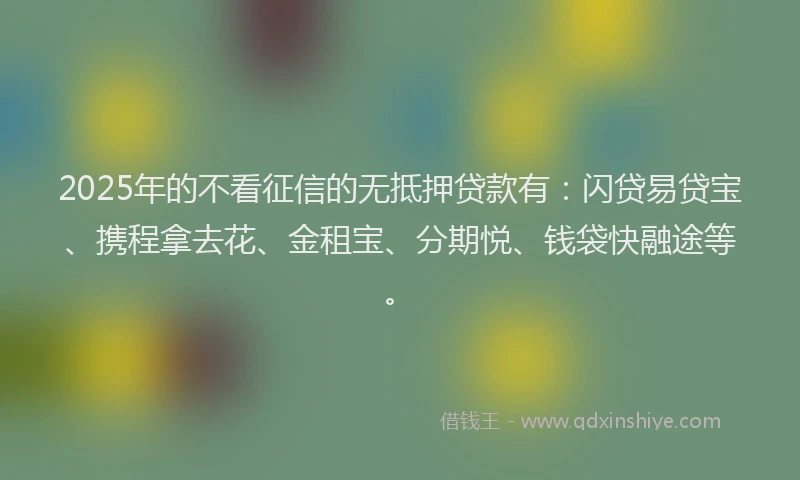 2025年的不看征信的无抵押贷款有：闪贷易贷宝、携程拿去花、金租宝、分期悦、钱袋快融途等。