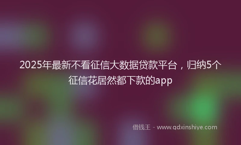 2025年最新不看征信大数据贷款平台，归纳5个征信花居然都下款的app