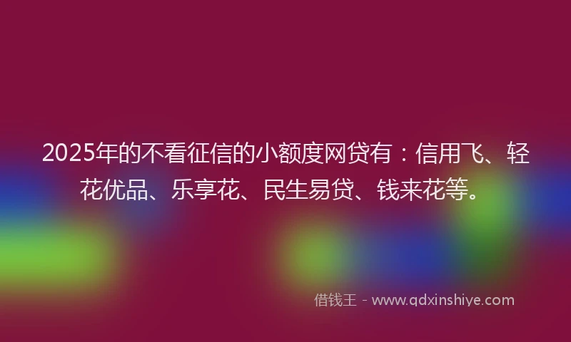 2025年的不看征信的小额度网贷有：信用飞、轻花优品、乐享花、民生易贷、钱来花等。