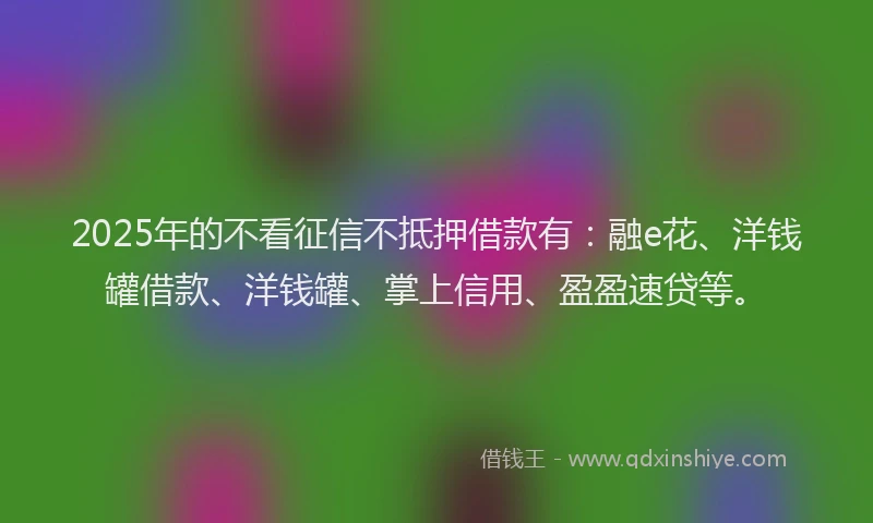 2025年的不看征信不抵押借款有：融e花、洋钱罐借款、洋钱罐、掌上信用、盈盈速贷等。