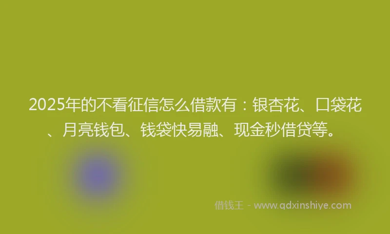 2025年的不看征信怎么借款有：银杏花、口袋花、月亮钱包、钱袋快易融、现金秒借贷等。