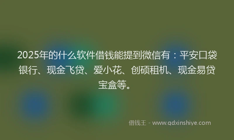 2025年的什么软件借钱能提到微信有：平安口袋银行、现金飞贷、爱小花、创硕租机、现金易贷宝盒等。