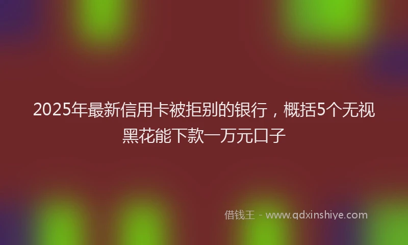 2025年最新信用卡被拒别的银行，概括5个无视黑花能下款一万元口子