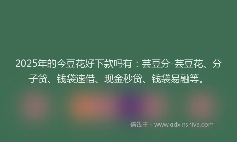 2025年的今豆花好下款吗有：芸豆分-芸豆花、分子贷、钱袋速借、现金秒贷、钱袋易融等。