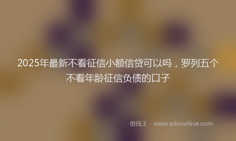 2025年最新不看征信小额信贷可以吗，罗列五个不看年龄征信负债的口子