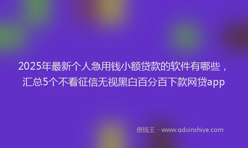 2025年最新个人急用钱小额贷款的软件有哪些，汇总5个不看征信无视黑白百分百下款网贷app