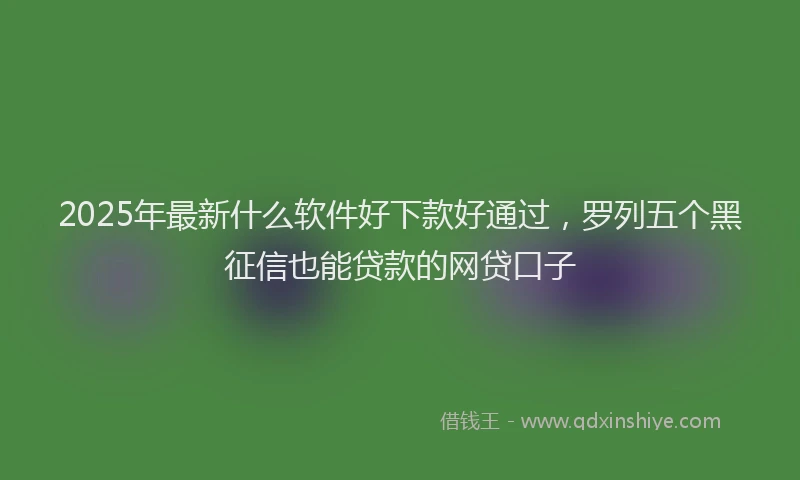 2025年最新什么软件好下款好通过，罗列五个黑征信也能贷款的网贷口子