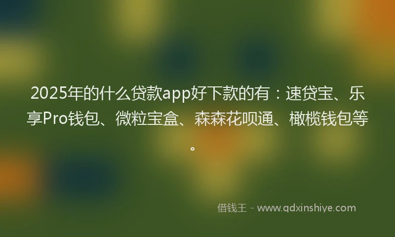 2025年的什么贷款app好下款的有：速贷宝、乐享Pro钱包、微粒宝盒、森森花呗通、橄榄钱包等。