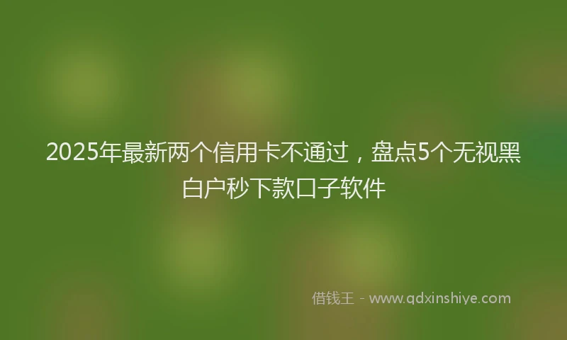 2025年最新两个信用卡不通过，盘点5个无视黑白户秒下款口子软件