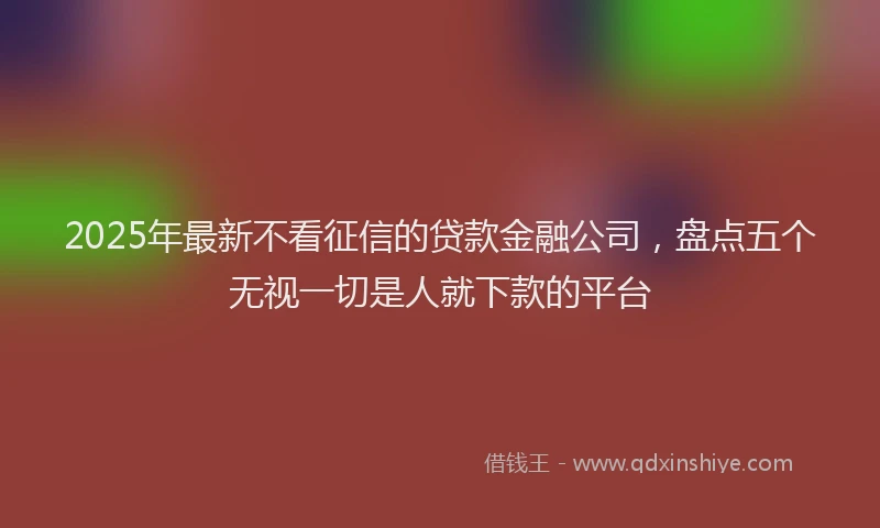 2025年最新不看征信的贷款金融公司，盘点五个无视一切是人就下款的平台