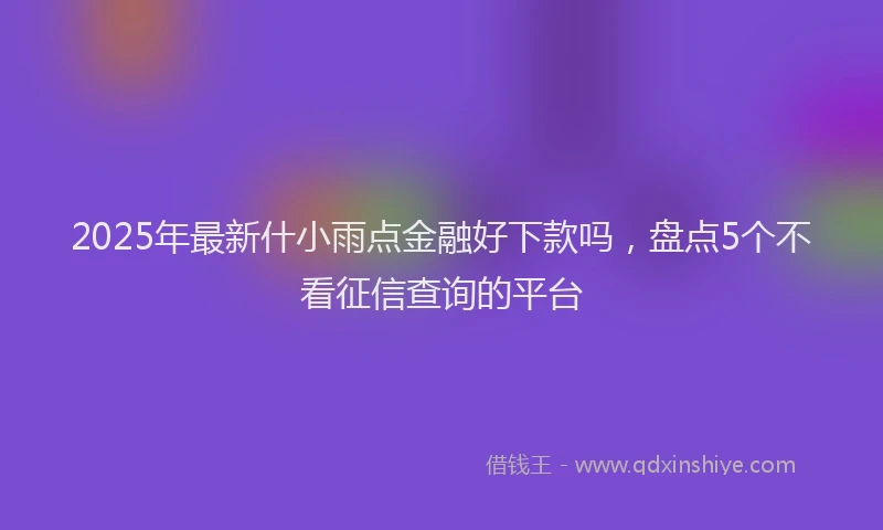 2025年最新什小雨点金融好下款吗，盘点5个不看征信查询的平台