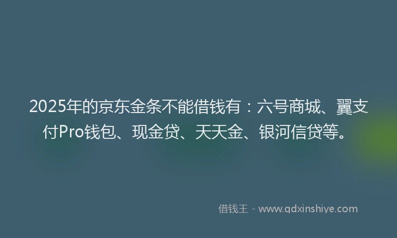 2025年的京东金条不能借钱有：六号商城、翼支付Pro钱包、现金贷、天天金、银河信贷等。