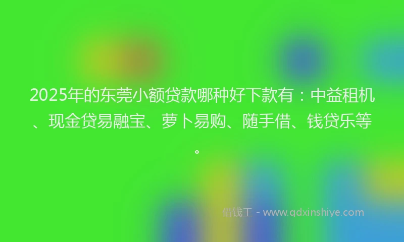 2025年的东莞小额贷款哪种好下款有：中益租机、现金贷易融宝、萝卜易购、随手借、钱贷乐等。
