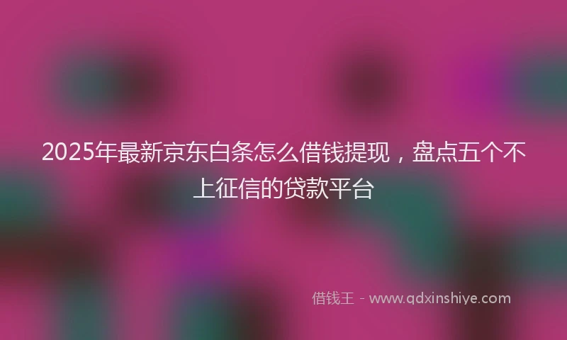 2025年最新京东白条怎么借钱提现，盘点五个不上征信的贷款平台