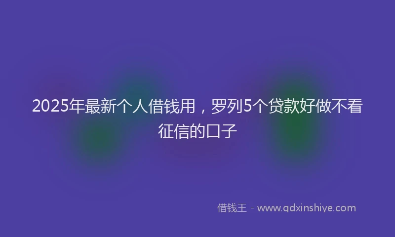 2025年最新个人借钱用，罗列5个贷款好做不看征信的口子