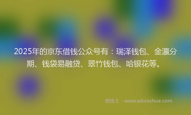 2025年的京东借钱公众号有：瑞泽钱包、金瀛分期、钱袋易融贷、翠竹钱包、哈银花等。