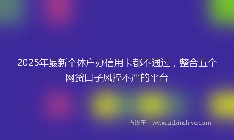 2025年最新个体户办信用卡都不通过，整合五个网贷口子风控不严的平台
