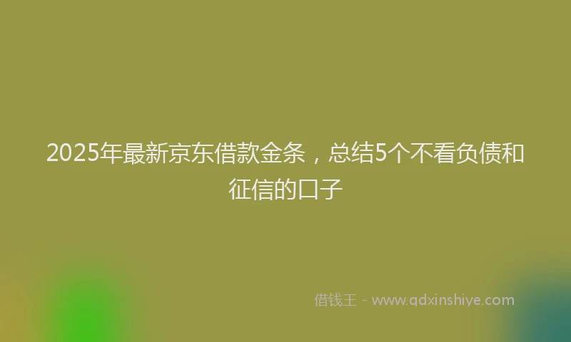 2025年最新京东借款金条，总结5个不看负债和征信的口子