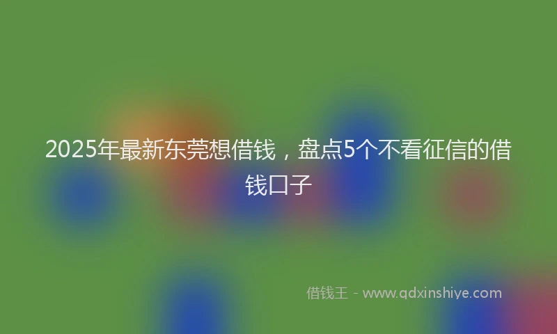 2025年最新东莞想借钱，盘点5个不看征信的借钱口子