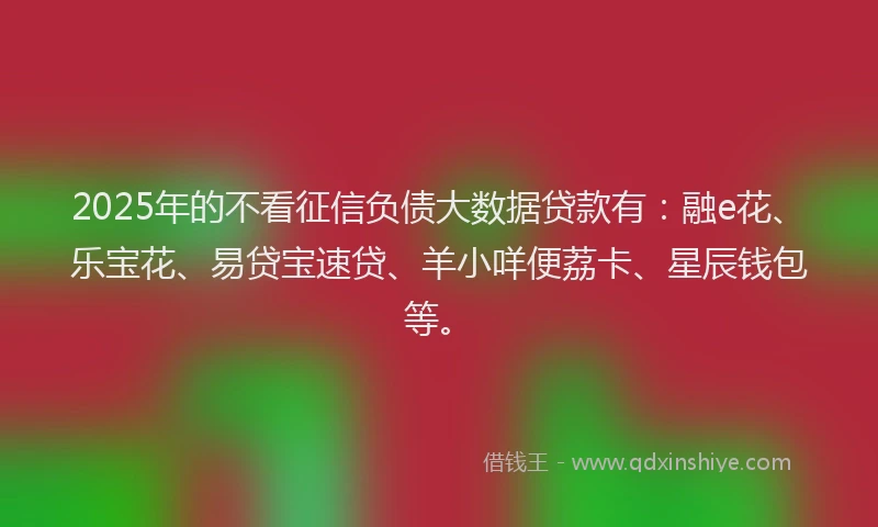 2025年的不看征信负债大数据贷款有：融e花、乐宝花、易贷宝速贷、羊小咩便荔卡、星辰钱包等。